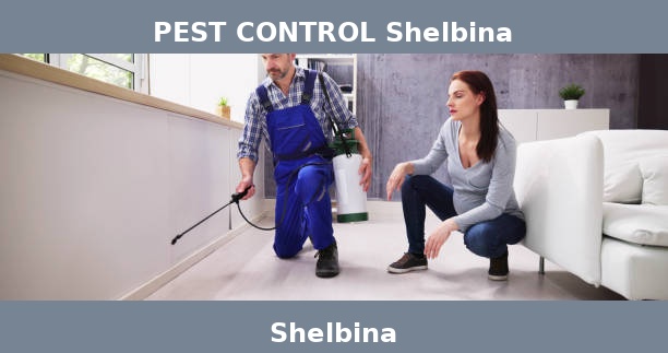 PEST CONTROL Shelbina